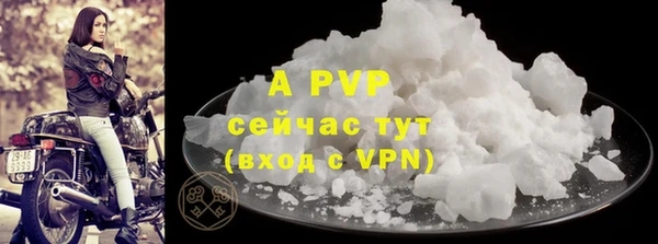 спайс Гусев