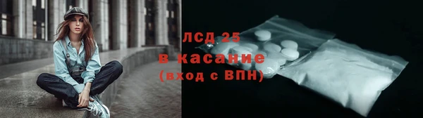 спайс Гусев