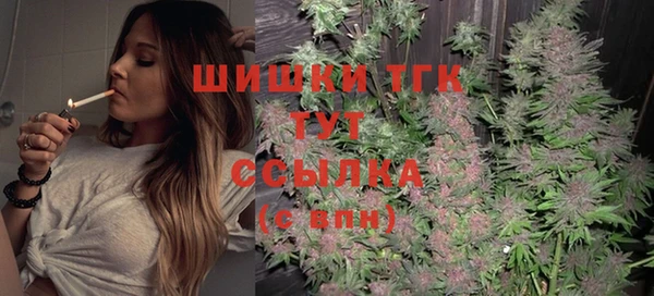 спайс Гусев