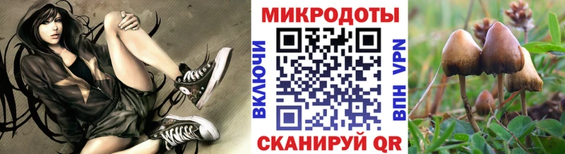 Галлюциногенные грибы мухоморы Долгопрудный