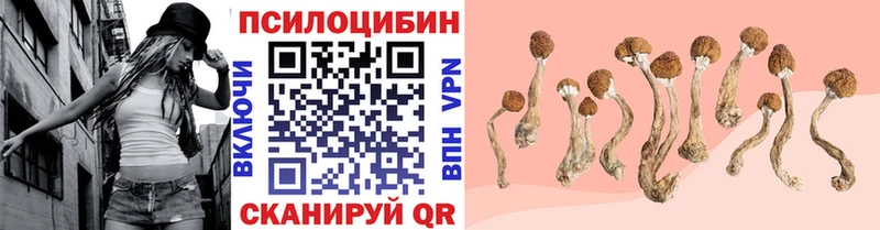наркошоп  Долгопрудный  Псилоцибиновые грибы MAGIC MUSHROOMS 